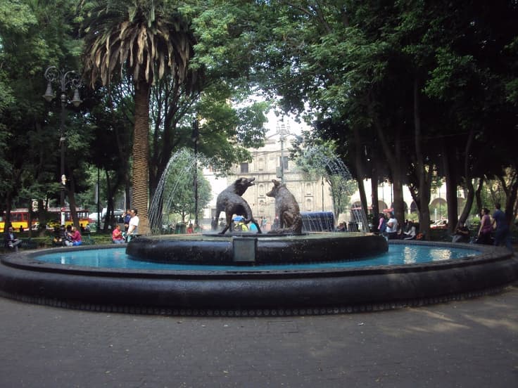 Imagen Previsualización Galería Ömora